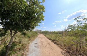 Terreno de 132,970 m2 sobre periférico, en venta Valladolid.