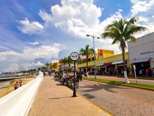 Terreno frente a la carretera, 1.4 hectáreas en Zona Hotelera Sur, Cozumel