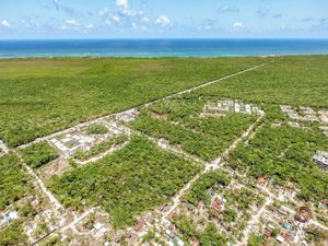 Lote Comercial en nueva Fase de Tulum.