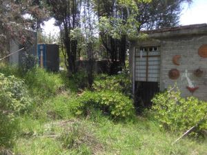 Terreno en Venta en San Lucas Cuauhtelulpan Tlaxcala