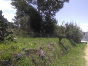 Terreno en Venta en San Lucas Cuauhtelulpan Tlaxcala