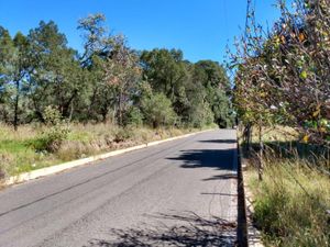 Terreno en Venta en Guadalupe Apizaco