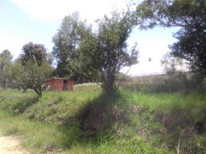 Terreno en Venta en San Lucas Cuauhtelulpan Tlaxcala