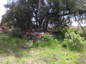 Terreno en Venta en San Lucas Cuauhtelulpan Tlaxcala