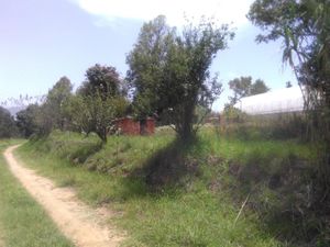 Terreno en Venta en San Lucas Cuauhtelulpan Tlaxcala