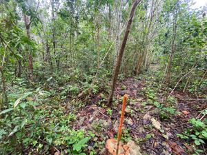 Terreno en Venta en Yaxché Tulum