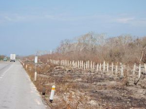 Terreno en Venta en Champoton Centro Champotón