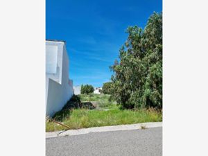 Terreno en Venta en Campestre Juriquilla Querétaro