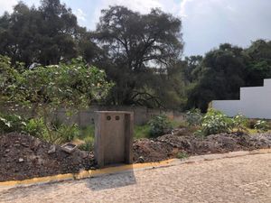 Terreno en Venta en Lomas de Cuernavaca Temixco