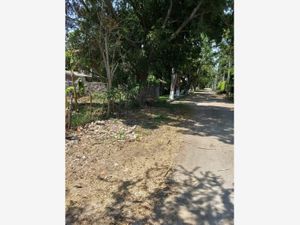 Terreno en Venta en Jacarandas Yautepec