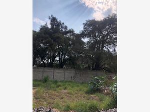 Terreno en Venta en Lomas de Cuernavaca Temixco