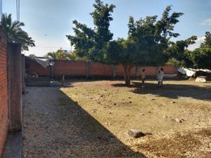 Terreno en Venta en Tres de Mayo Emiliano Zapata