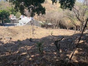 Terreno en Venta en Palmira Tinguindin Cuernavaca