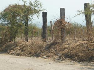 Terreno en Venta en Pueblo Viejo Temixco