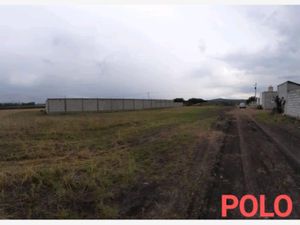 Terreno en Venta en Pita Corregidora