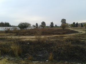 Terreno en Venta en Irapuato Irapuato