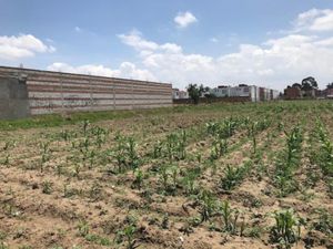 Terreno en Venta en San Juan Cuautlancingo Cuautlancingo