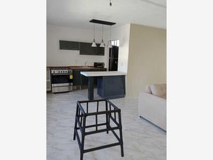 Departamento en Renta en Tres Cerritos Puebla