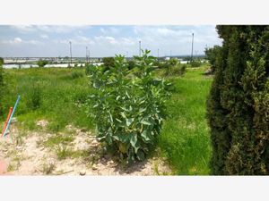 Terreno en Venta en Cantera de Torres Lagos de Moreno