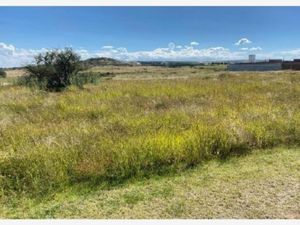 Terreno en Venta en Potreros del Sur Silao de la Victoria