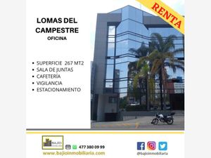 Oficina en Renta en Lomas del Campestre León