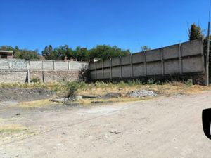 Terreno en Renta en Alfaro León