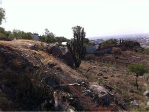 Terreno en Venta en El Refugio Campestre León