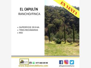 Finca/Rancho en Venta en El Capulín León