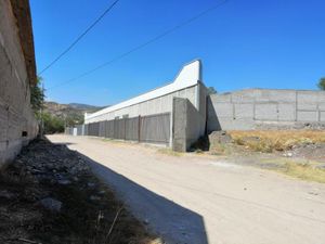 Terreno en Renta en Alfaro León