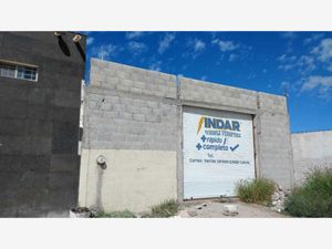 Terreno en Renta en Ampliación Senderos Torreón