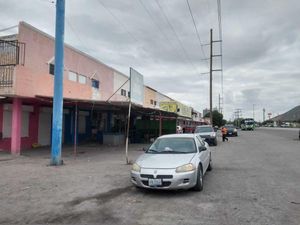 Terreno en Renta en La Dalia Torreón