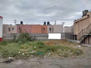 Terreno en Renta en La Dalia Torreón