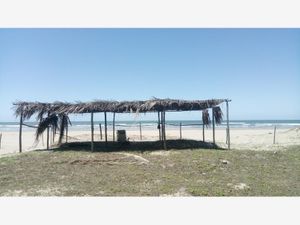 Terreno en Venta en PLAYA NOVILLERO Tecuala