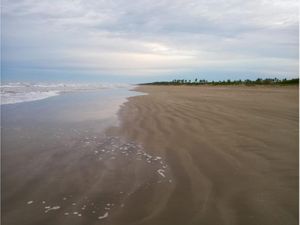 Terreno en Venta en PLAYA NOVILLERO Tecuala