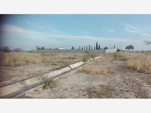 Terreno en Venta en La Conchita Roja Torreón