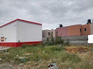 Terreno en Renta en La Dalia Torreón