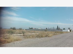 Terreno en Venta en La Conchita Roja Torreón