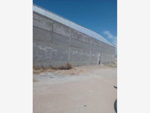 Bodega en Renta en La Perla Torreón