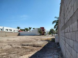 Terreno en Venta en Residencial los Fresnos Torreón