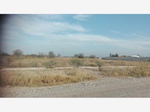 Terreno en Venta en La Conchita Roja Torreón