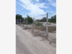Terreno en Venta en La Concha Torreón