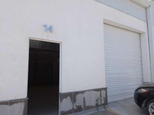 Bodega en Renta en La Union Torreón