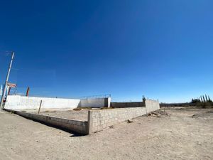 Terreno en Renta en Paso del Aguila Torreón