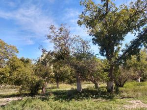 Terreno en Venta en Parras Parras