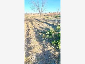 Terreno en Venta en Las Palmeras Parras