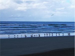 Terreno en Venta en PLAYA NOVILLERO Tecuala