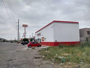 Terreno en Renta en La Dalia Torreón