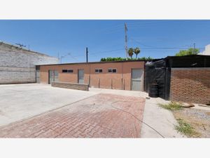 Terreno en Renta en Residencial Campestre la Rosita Torreón