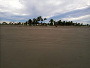 Terreno en Venta en PLAYA NOVILLERO Tecuala