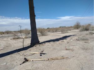 Terreno en Venta en Colonia Agrícola la Popular Gómez Palacio